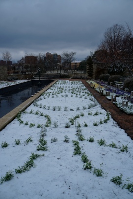 Our first round of planting was snowed on.